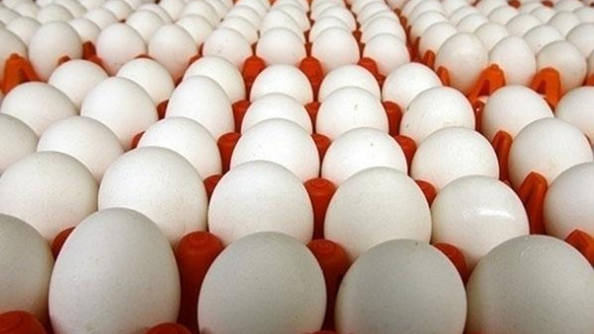 Yumurtalar yeni kodlarıyla piyasaya sunuluyor
