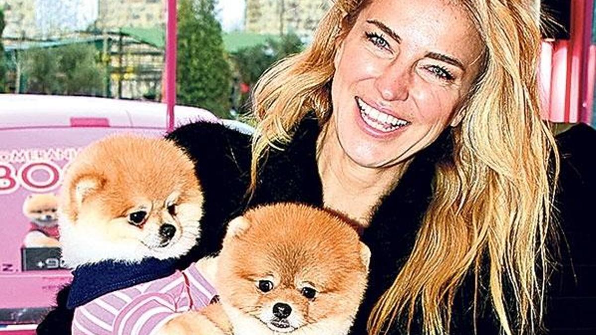 Bu köpekler  süs eşyası  değil!