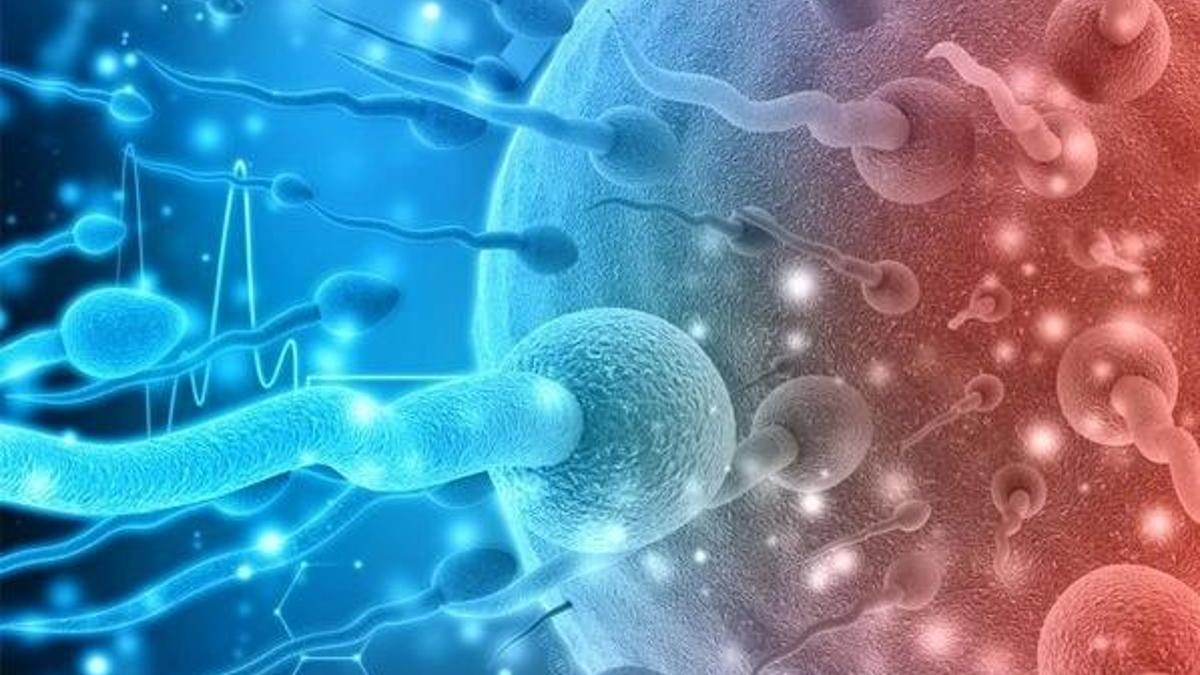 Spermler kanserli hücrelere ilaç taşıyacak!