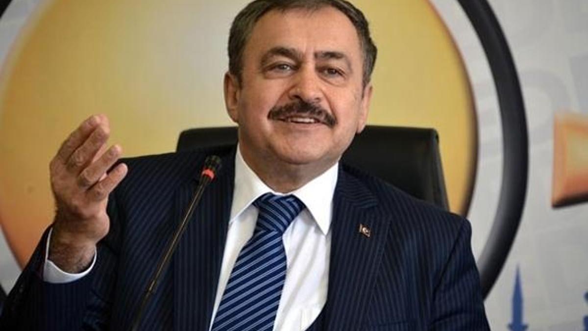 Bakan Eroğlu açıkladı! Bunu yapmayana su yok