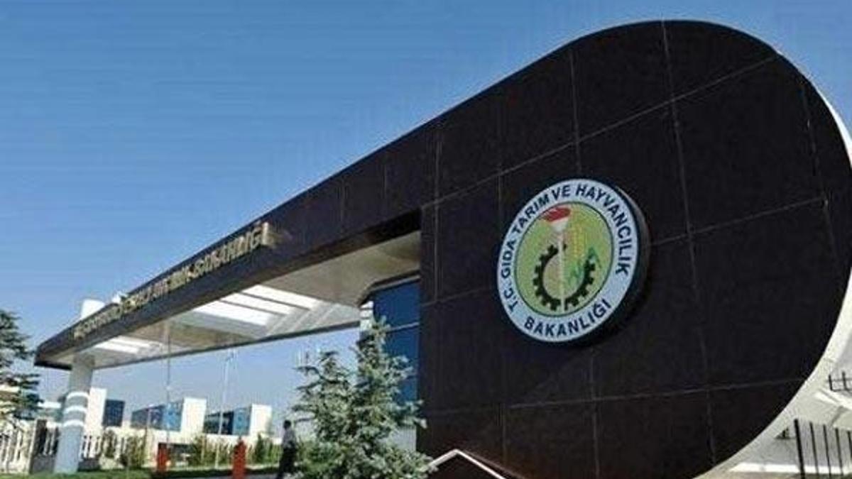 100 bin aileye kredi ve hayvan desteği müjdesi