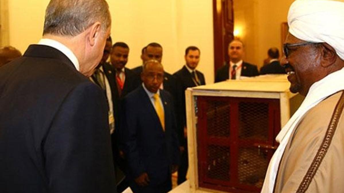 Erdoğan'a hediye edilen aslanlar için hazırlıklar başladı