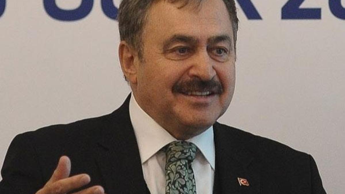Bakan Eroğlu: Adam tuvalet izni almış, otel yapmış