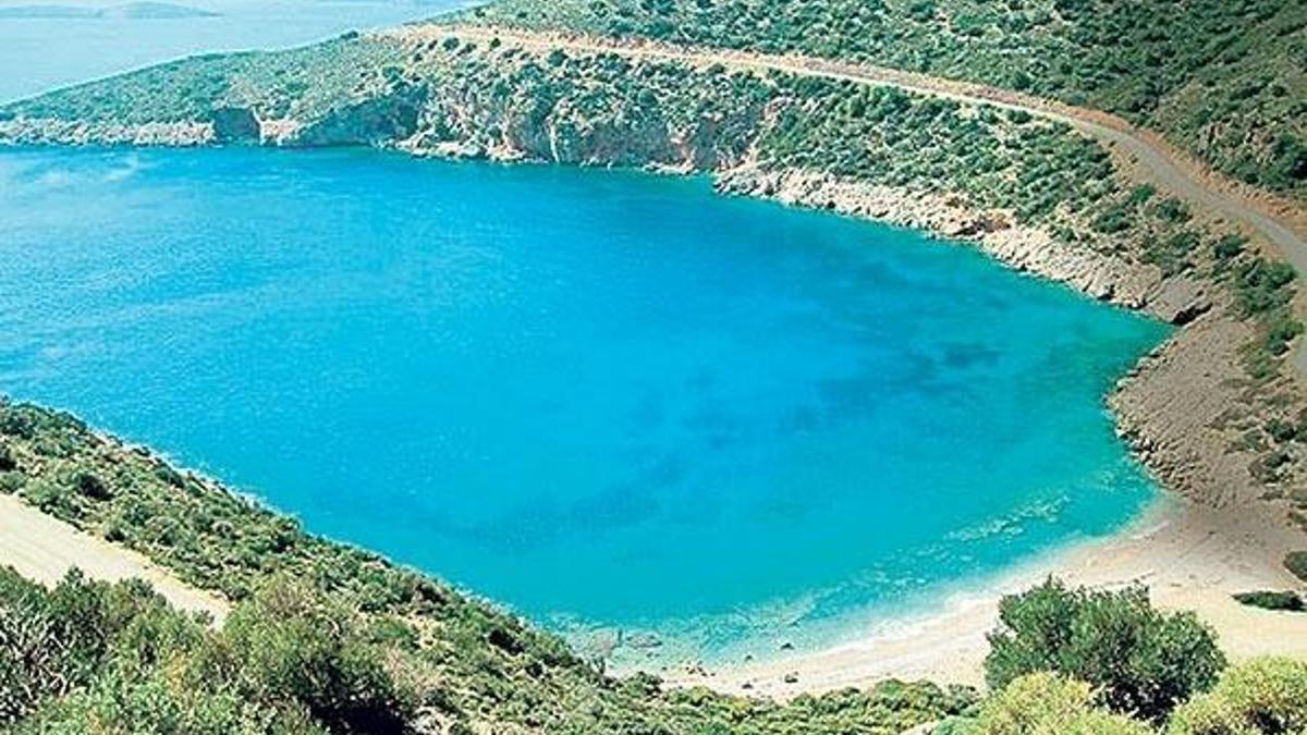 Ciddi kirlilik nedeniyle ihaleye çıkartılmış