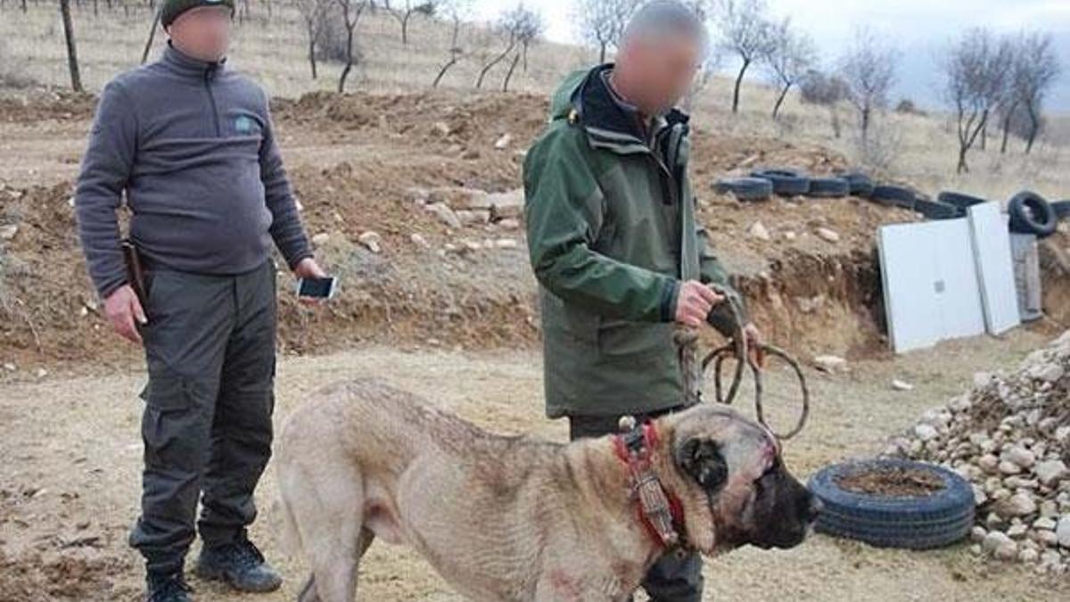Vahşet konvoyu! 7 ilden 100 kişi toplandı