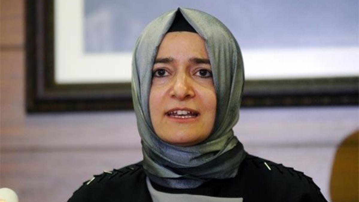 Bakan Kaya: Bizim kimsenin bir karış toprağında gözümüz yok