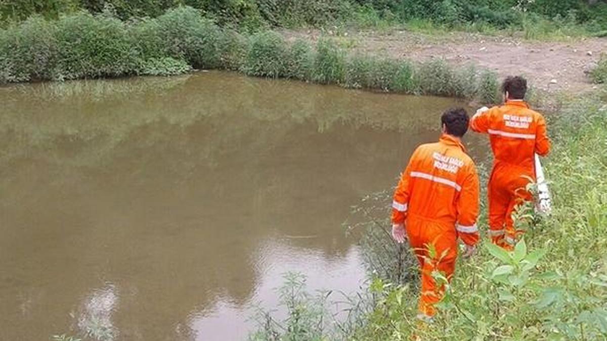 Karadeniz'de zika virüsü alarmı!