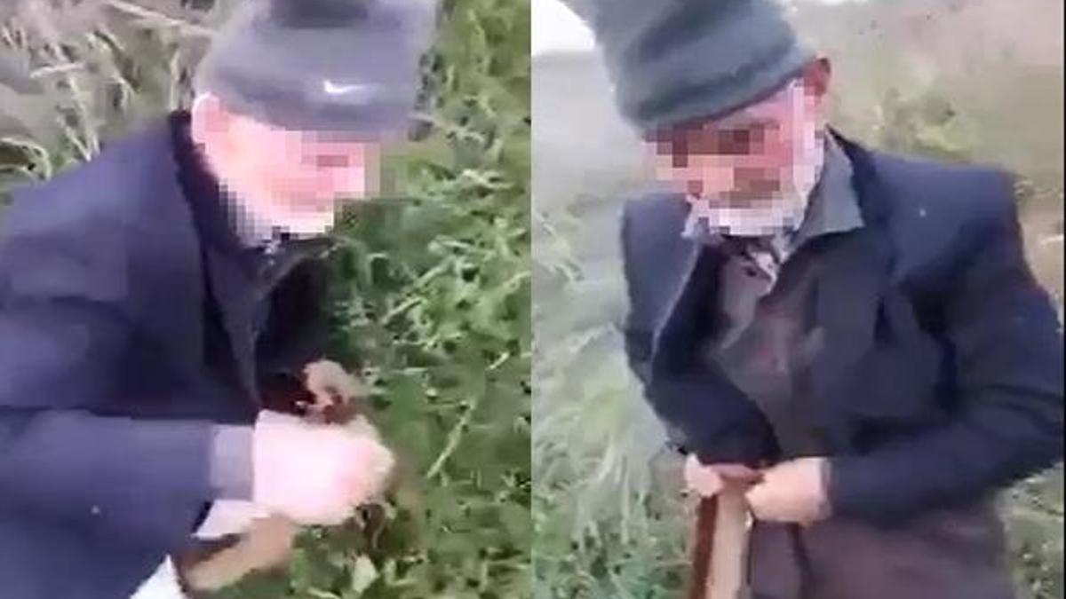 İşte köpeğe tecavüz eden sapığa verilen ceza