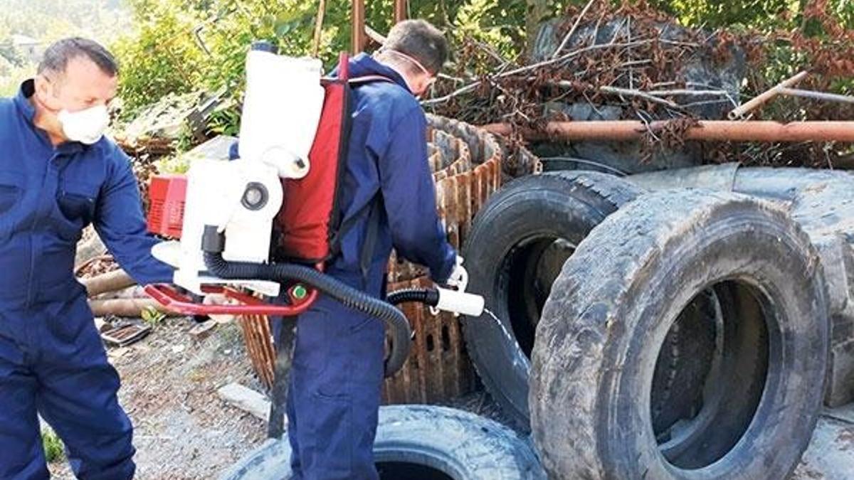 Zika virüsü alarmı!