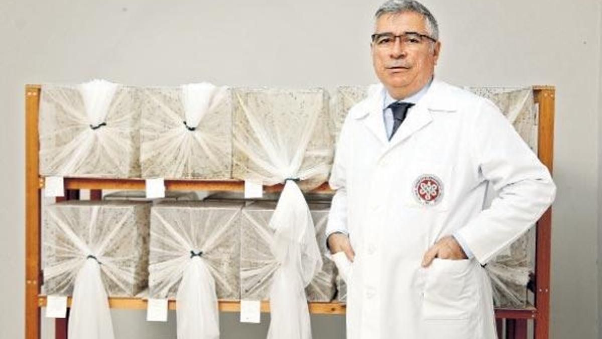 Açık yaralara larva mucizesi
