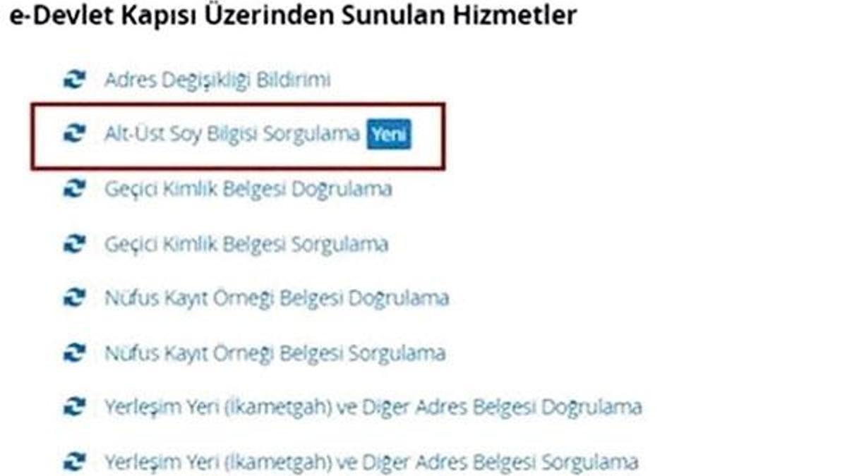 e-Devlette soyağacı izdihamı