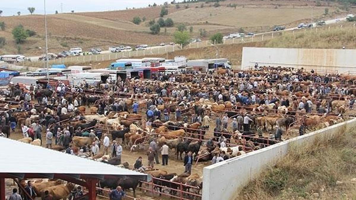 Kastamonu'da bir köy karantina altına alındı