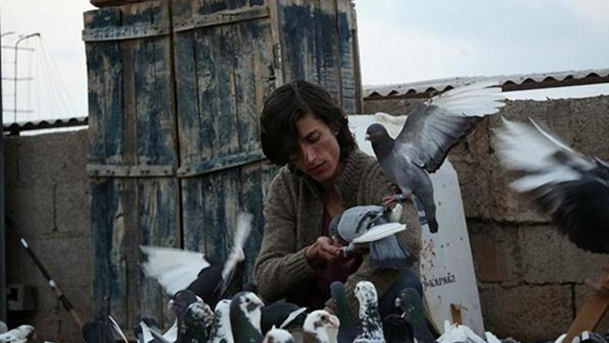 Türkiye’nin Güvercin’i Berlin’e kanat çırpıyor!