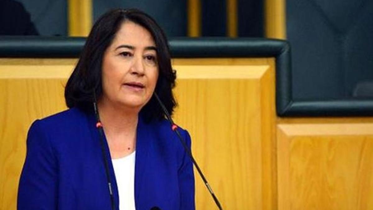 HDP eski Eşbaşkanı Serpil Kemalbay gözaltına alındı