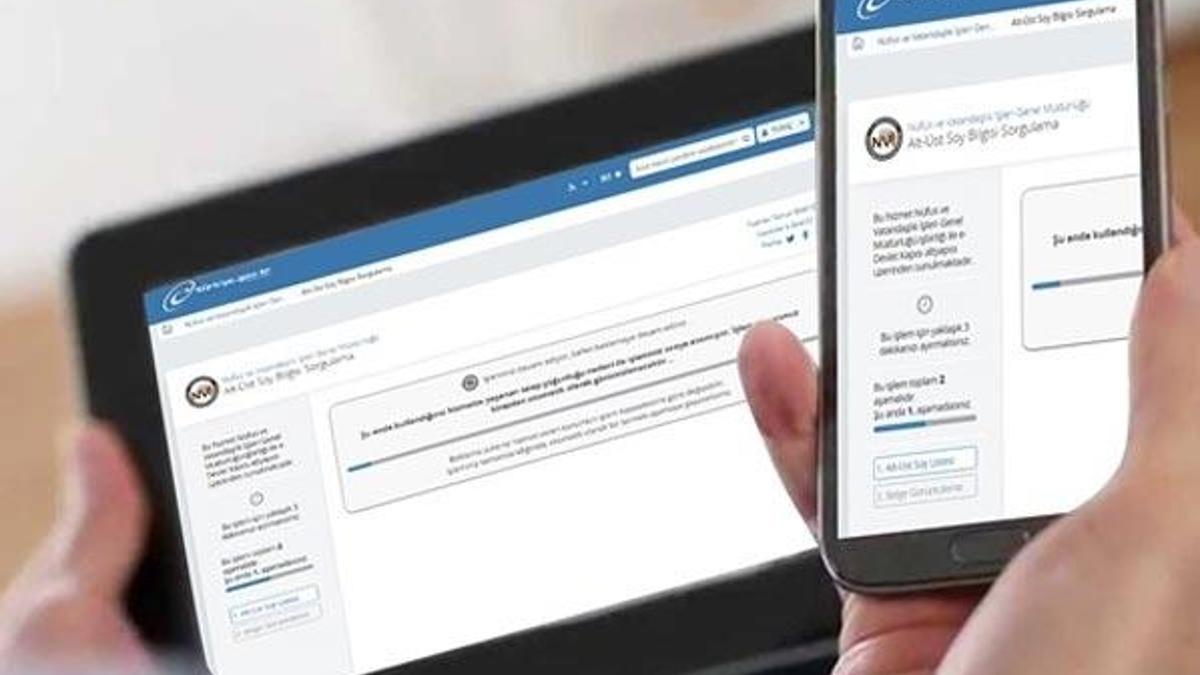 E-Devlet Alt-Üst Soy bilgisi sorgulama sayfası açıldı