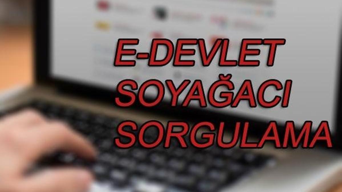 E-devlet soy ağacı sorgulaması nasıl yapılır?