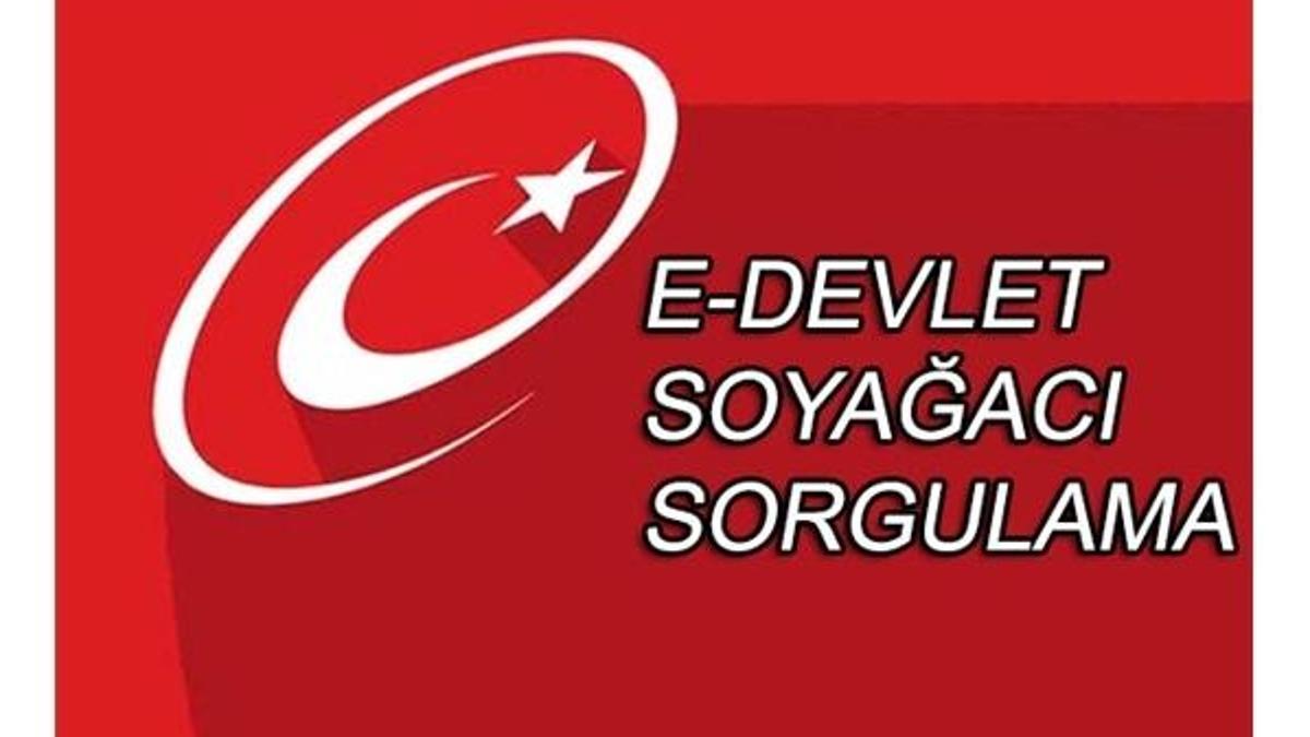 Soyağacı sorgulaması nasıl yapılır? E-devlet giriş...