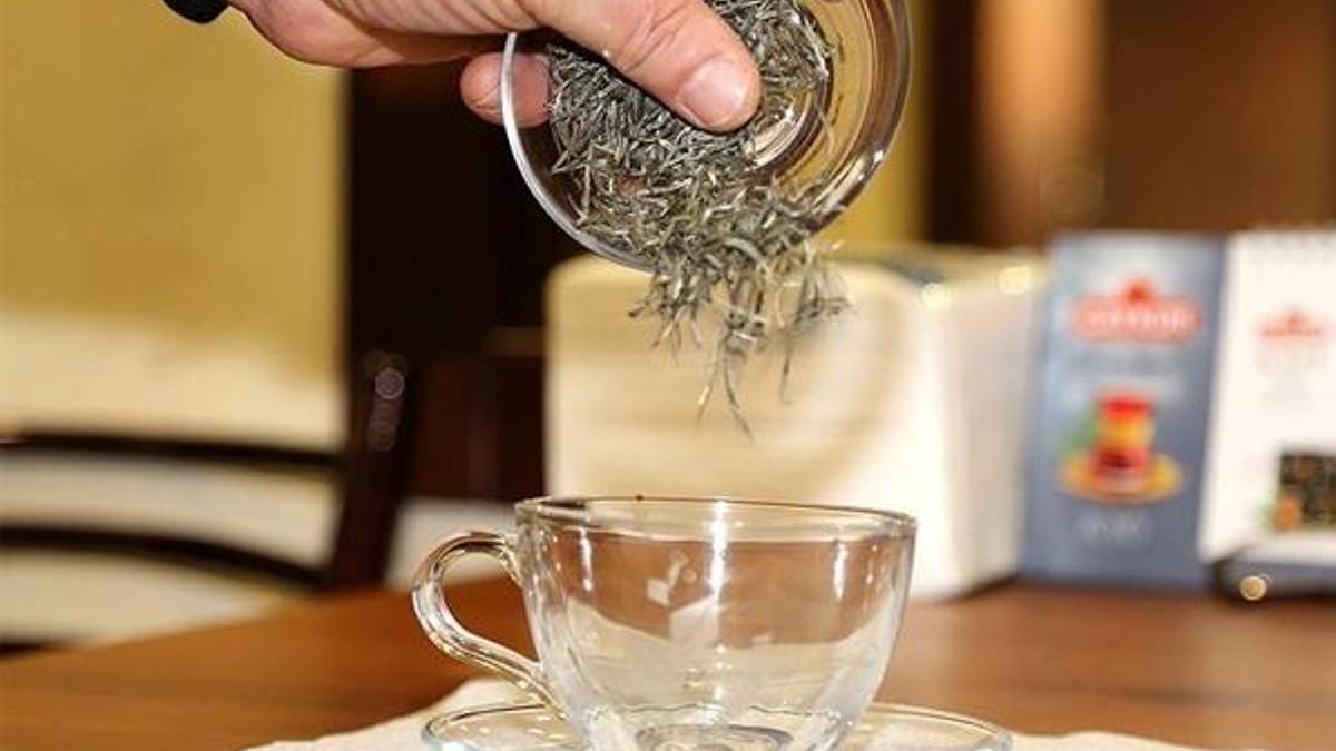 Beyaz çayın sağlığa faydaları araştırılıyor!
