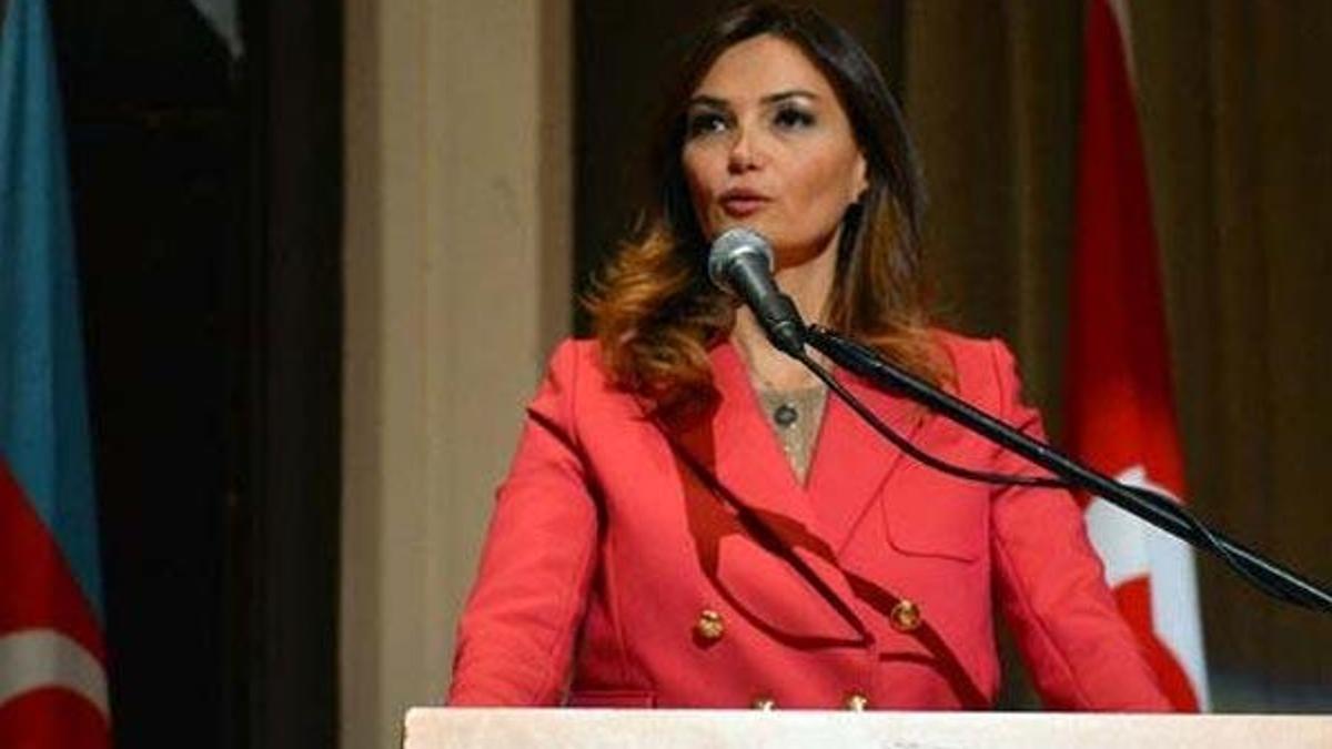 Azeri vekilden Türkiye açıklaması: Zayıflatmaya sizin gücünüz yetmez