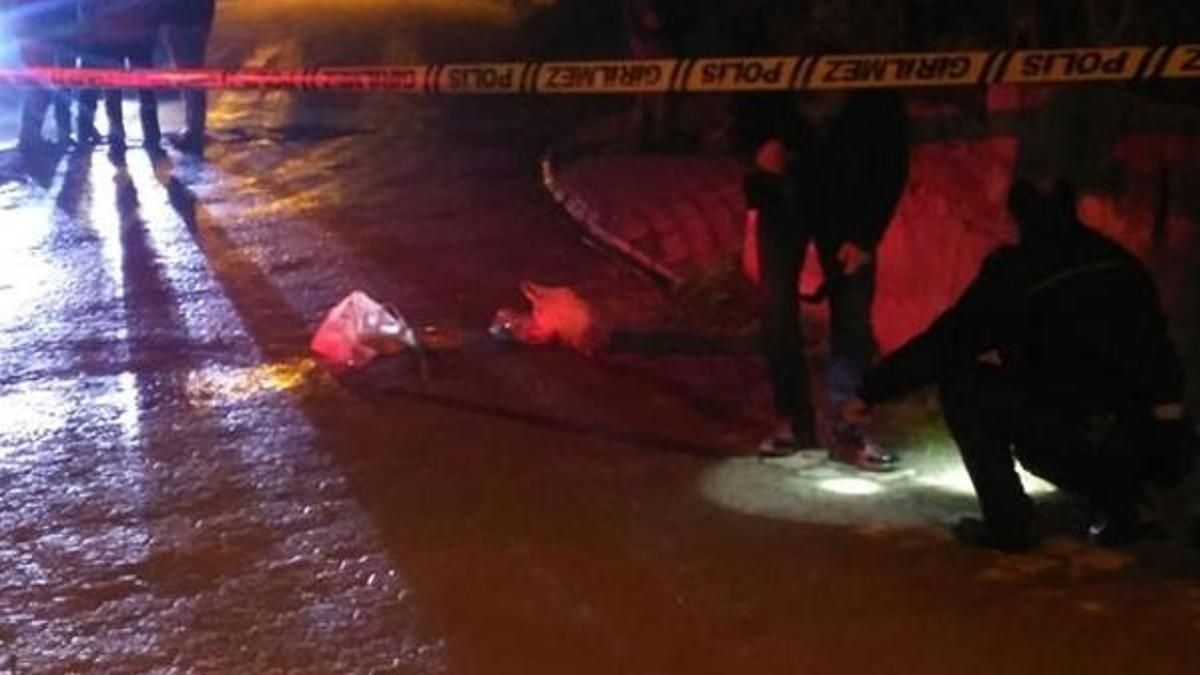 Ordu'da silahlı saldırı: 1 kişi öldü