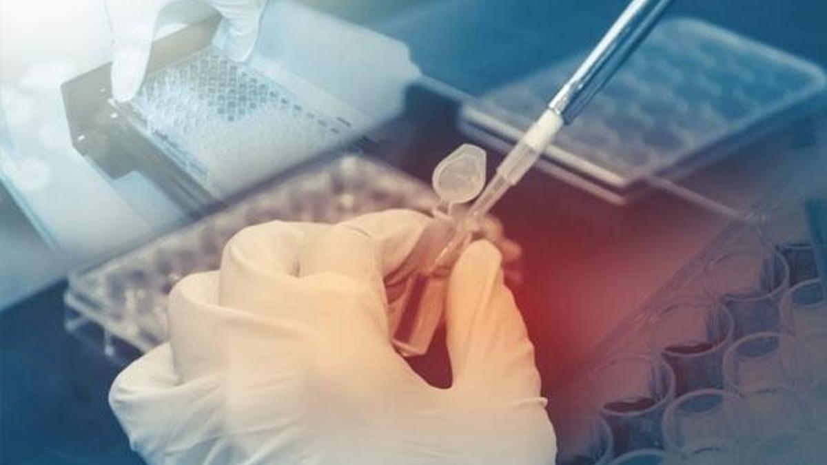 Babalık testi yaptıranların sayısında büyük artış!