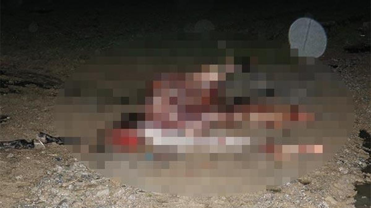 Korkunç görüntüler! Polis ihbar üzerine gitti ve...