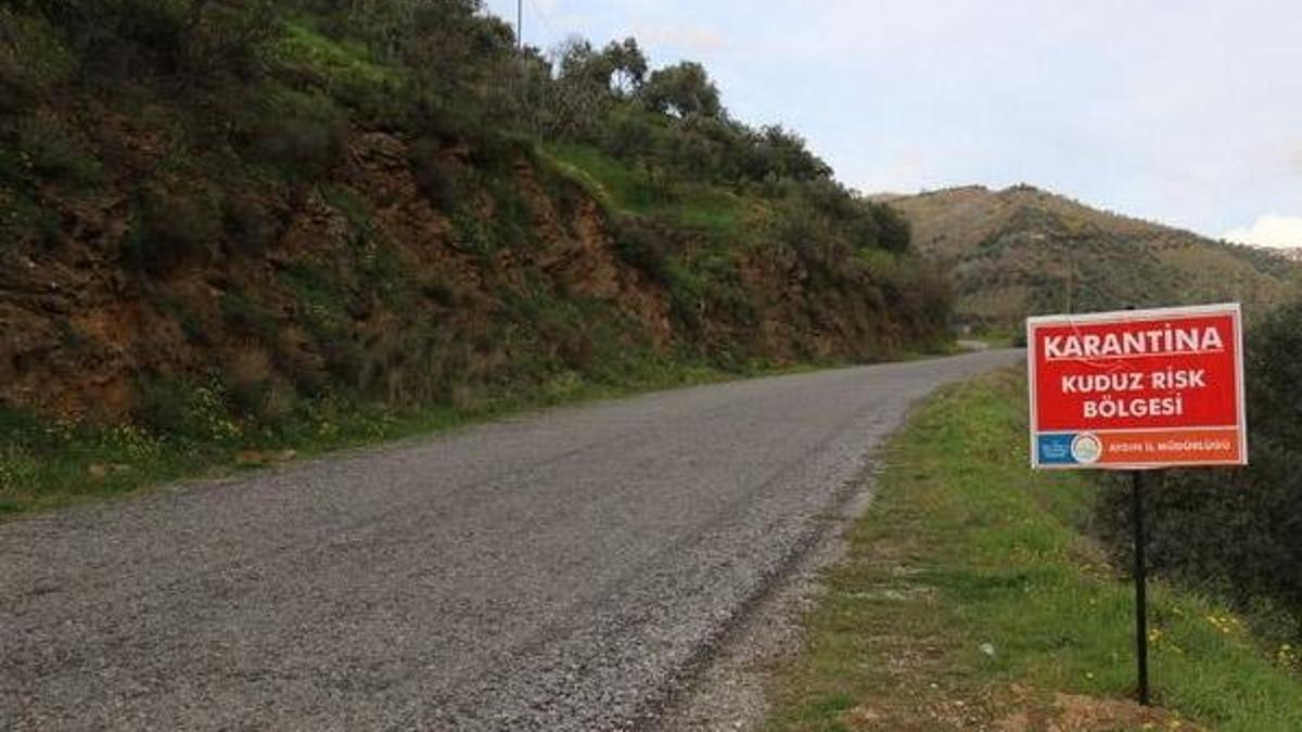 İki kadına kedi saldırdı! Mahalle karantinaya alındı
