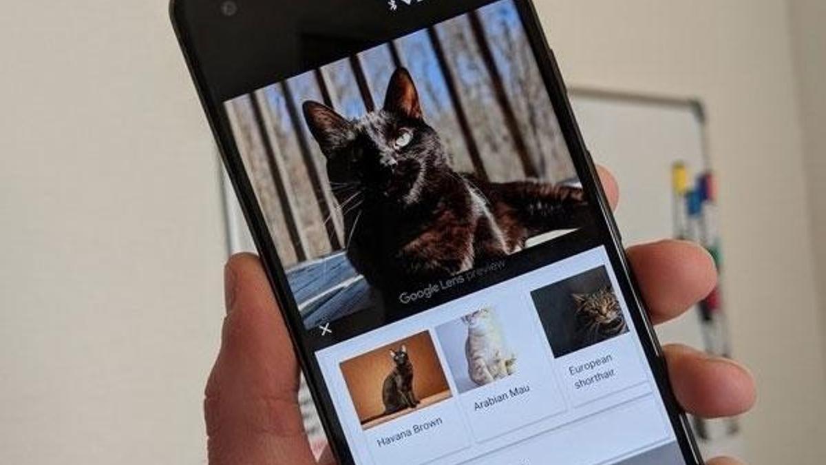 Google Lens tüm Android cihazlarda!