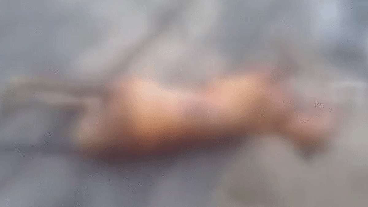 Görüntüler şoke etti! Kedi eti ticareti yapıyorlar!