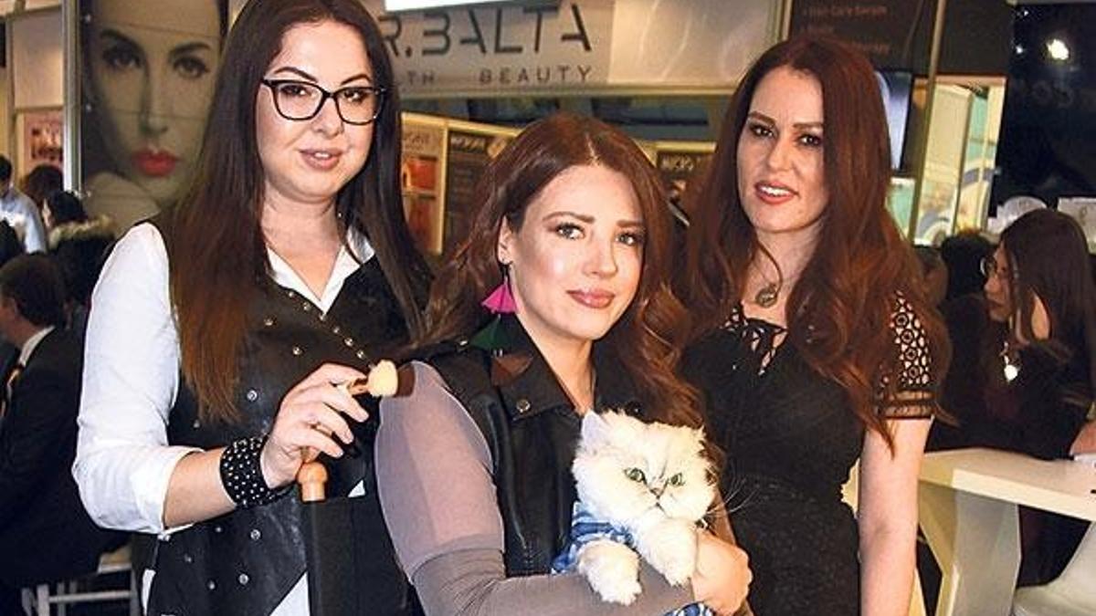Kediye davet parası