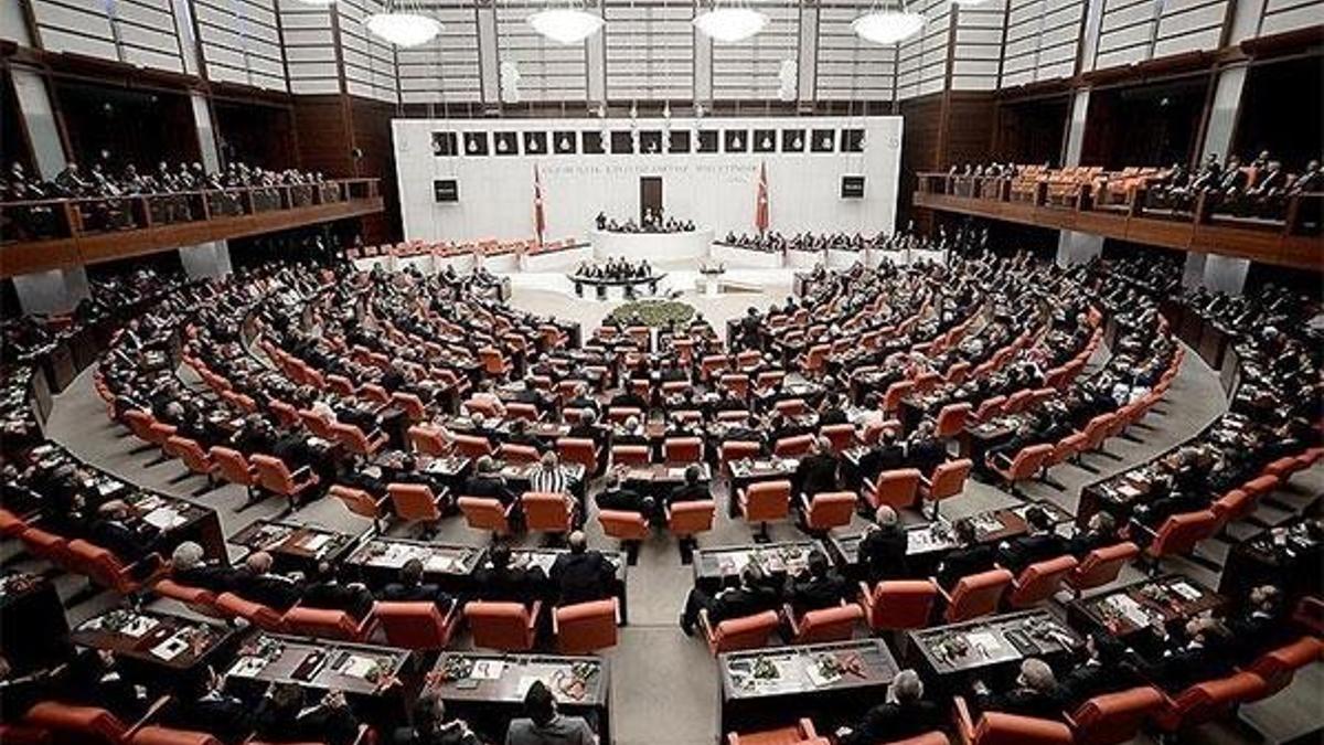 Down sendromlu bireyler için Meclis Araştırma Komisyonu kuruldu