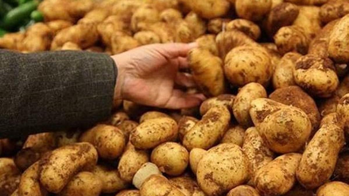 Patates baronları çuvalladı