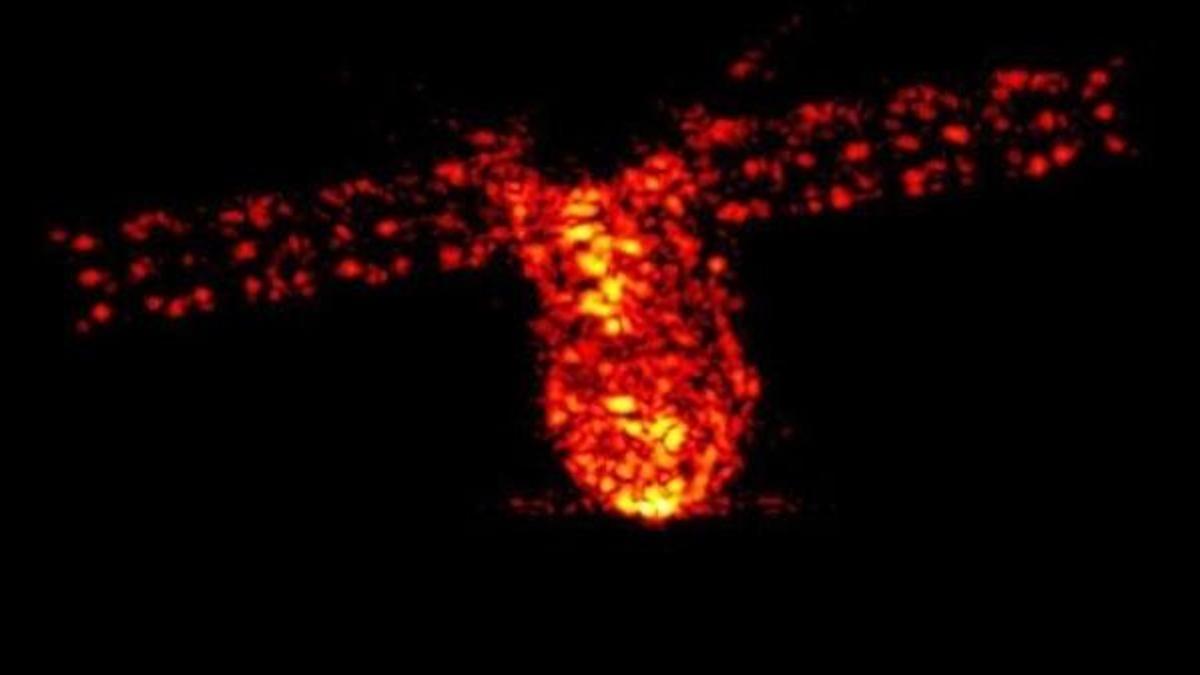 Son dakika: Çin'in uzay istasyonu düştü