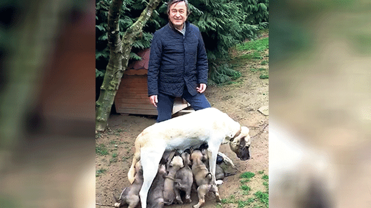 Evgin’in torunları