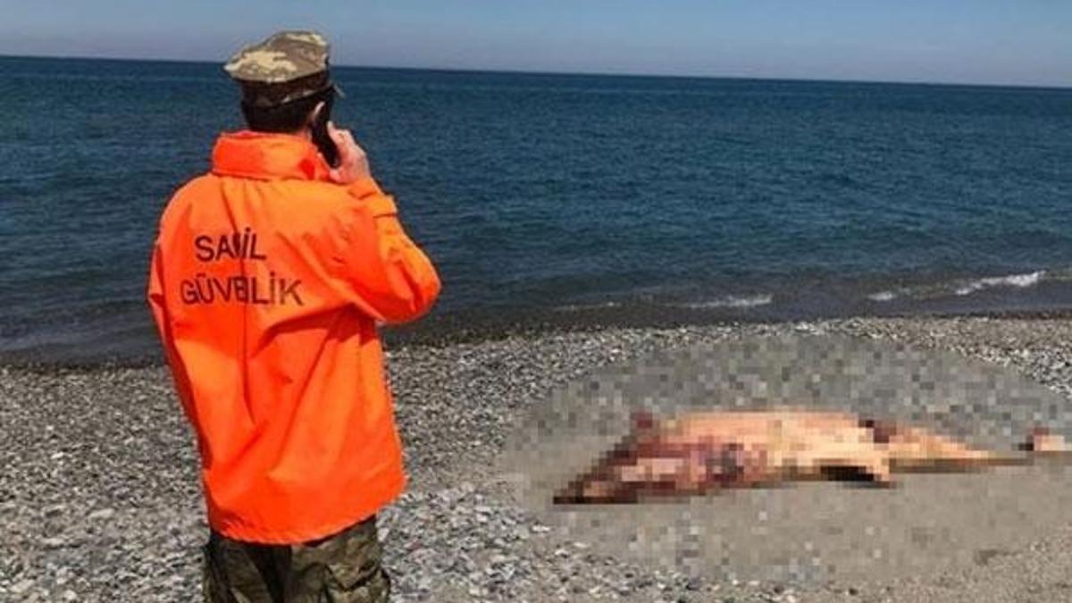Sinop'tan sonra şimdi de Samsun!
