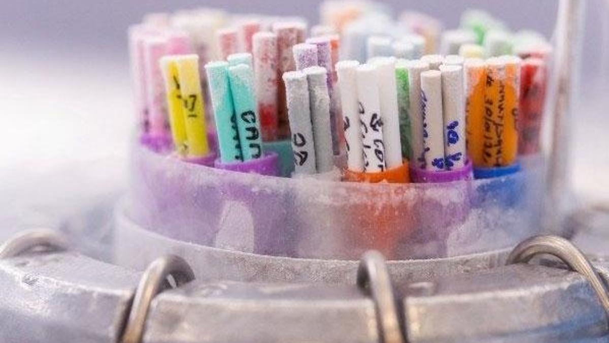 Sperm bankası, bağışçılarda Komünist Parti'ye bağlılık arıyor