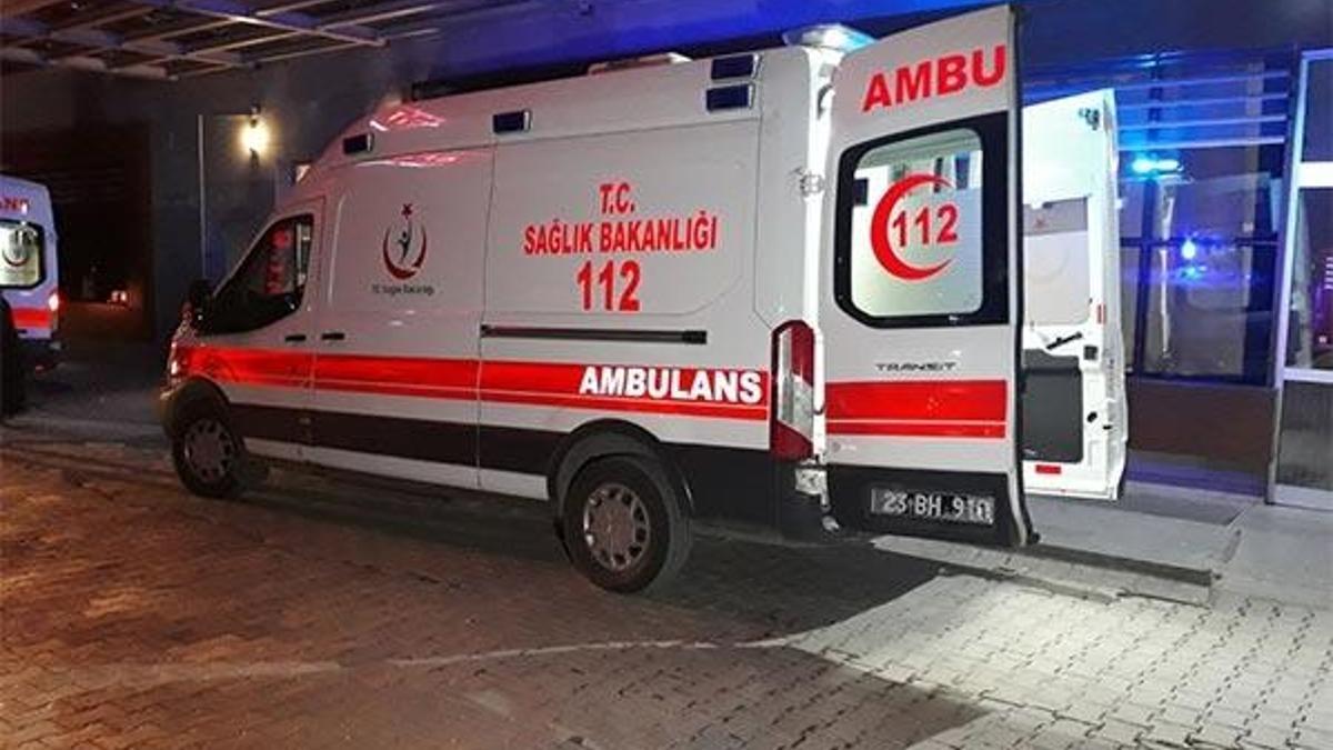 Kardeş kavgası kanlı bitti