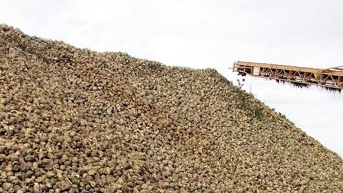 2 şeker fabrikasının ihalesi tamamlandı