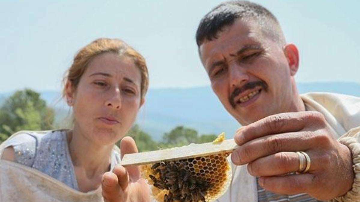 Yıllık kazançları 300 bin TL