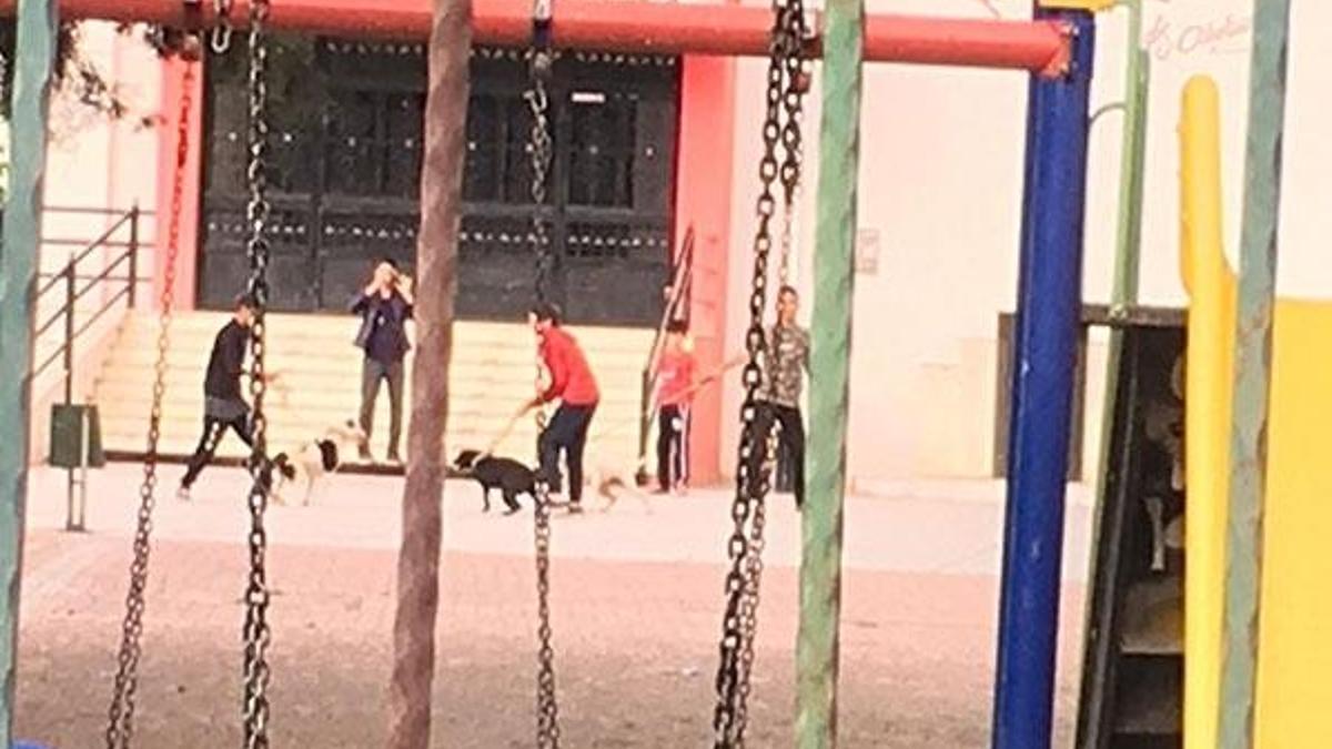 Okul bahçesinde skandal görüntü
