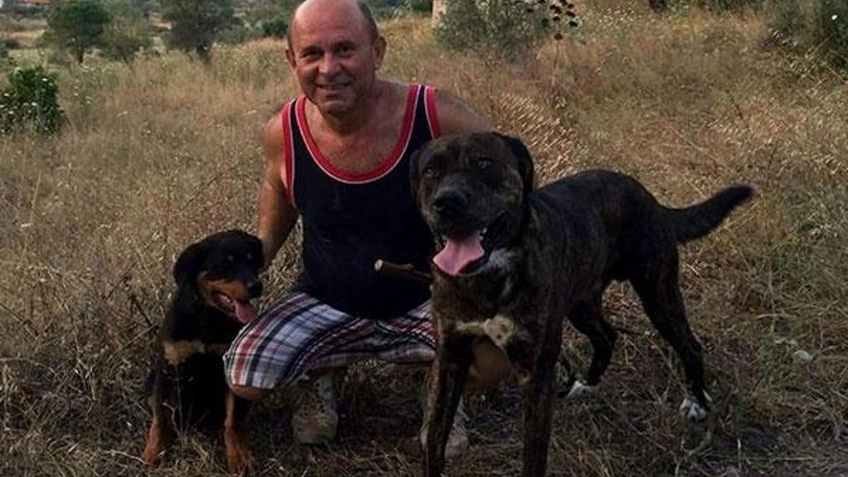 Marmaris'te şok! İki köpek zehirlenerek öldürüldü