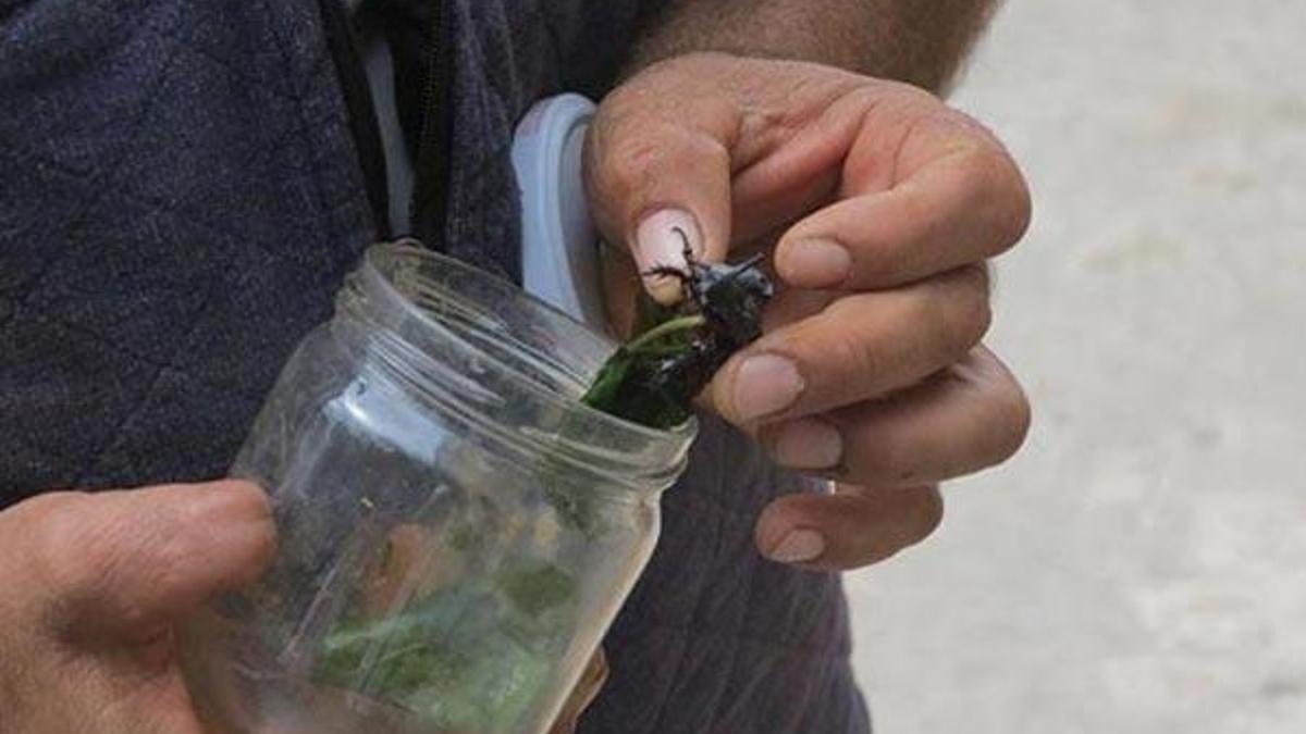 Evinin bahçesinde öyle bir şey buldu ki...