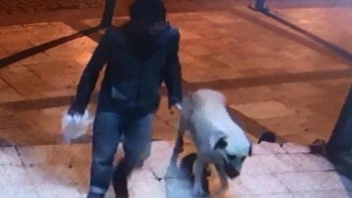 Sokak köpeğini boğarak öldürdükten sonra tecavüz etmiş