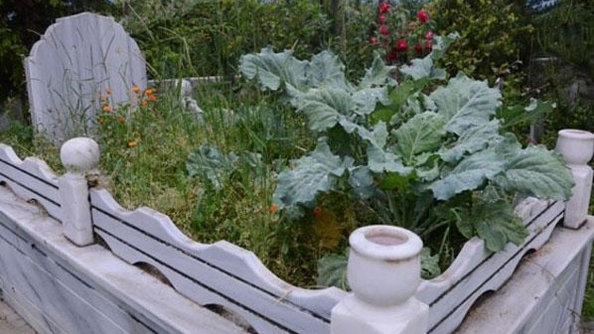 Mezarına gelen şoke oldu! 'Çok seviyordu' deyip...