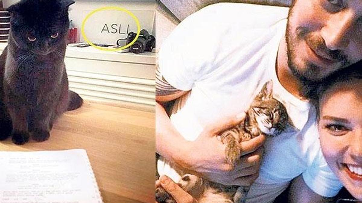Aslı kediyi özledi