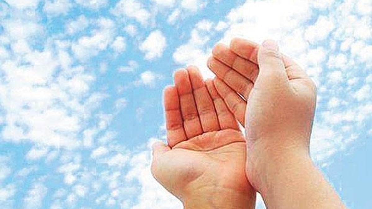 Mümin bildiğinin öğretmeni bilmediğinin öğrencisidir