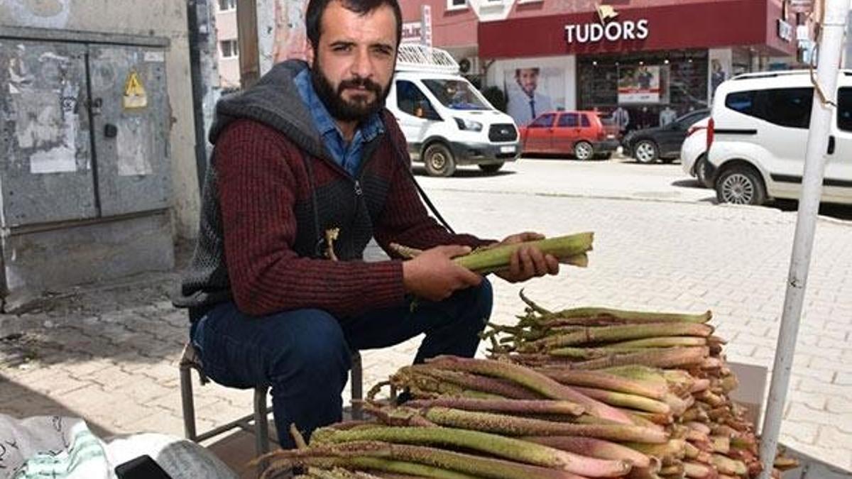 Muş’ta uçkunun kilosu 10 TL’ye düştü