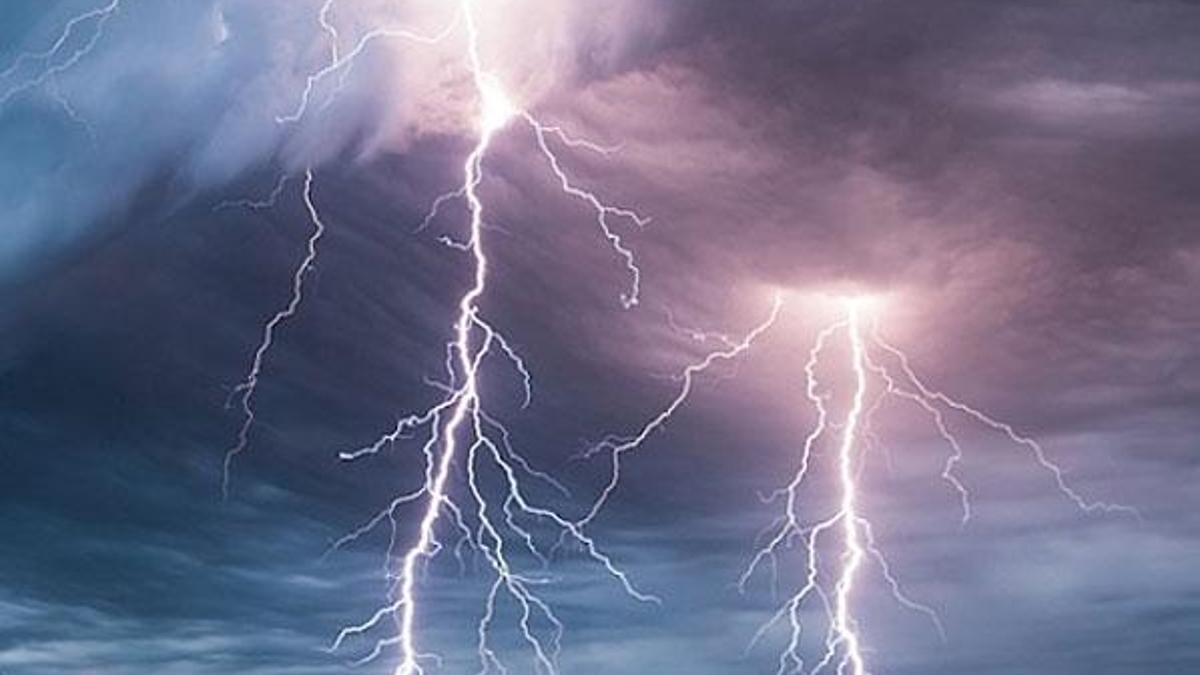 Yıldırım düşmesiyle 23 hayvan telef oldu