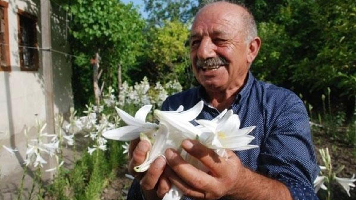 Hobi olarak yetiştirmeye başladı! Şimdi paraya para demiyor