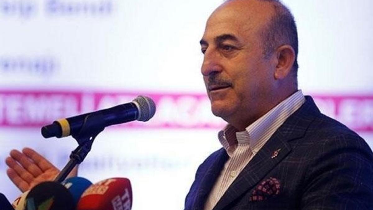 Bakan duyurdu: 'Vizeyi aşama aşama kaldıracağız'